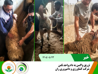 تزریق واکسن