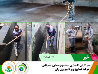 تمیز کردن دامداری
