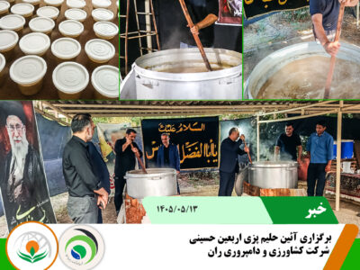 حلیم