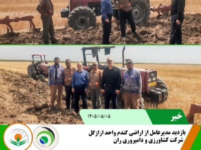 فرخی copy