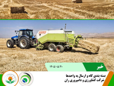کاه 1