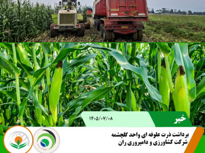 برداشت ذرت علوفه ای