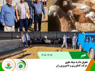 تحویل دام بنیاد علوی