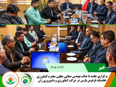 صفایی