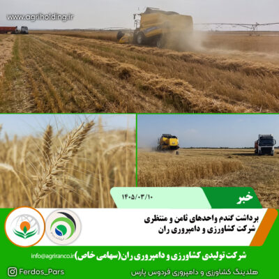 برداشت گندم
