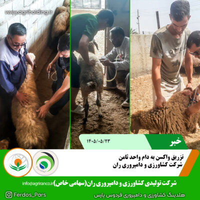 تزریق واکسن