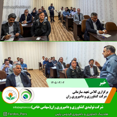 تعهد سازمانی