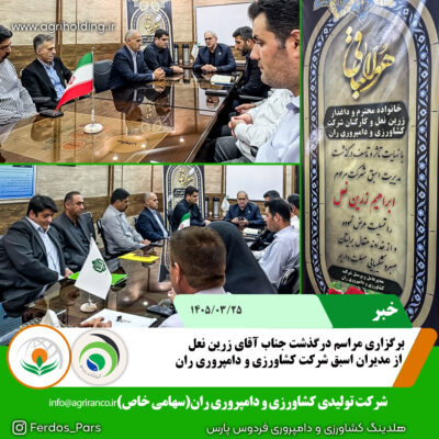 زرین نعل