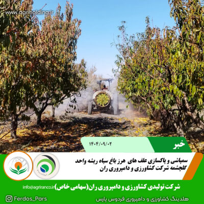 سیاه ریشهههه