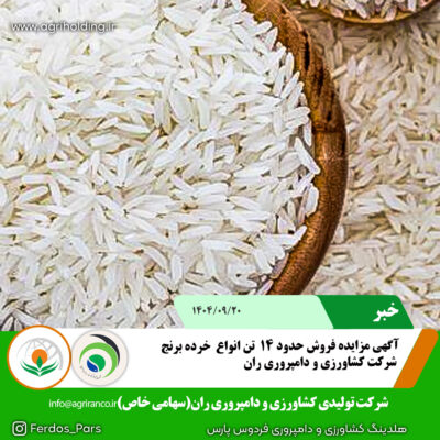 مزایده برنج