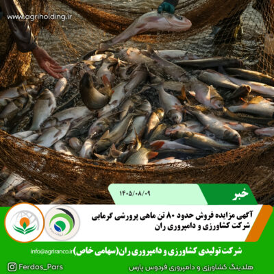 مزایده فروش ماهی copy