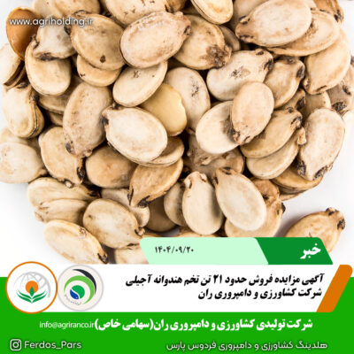 مزایده هندوانه آجیلی