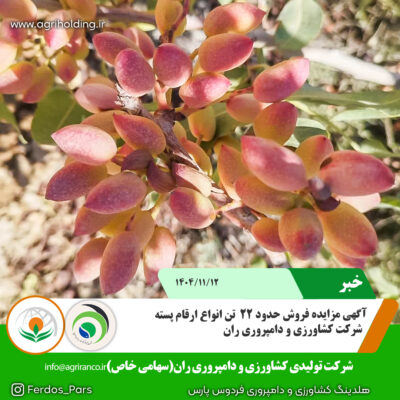 مزایده پسته