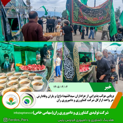 موکبب