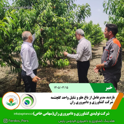 هلو گلچشمه