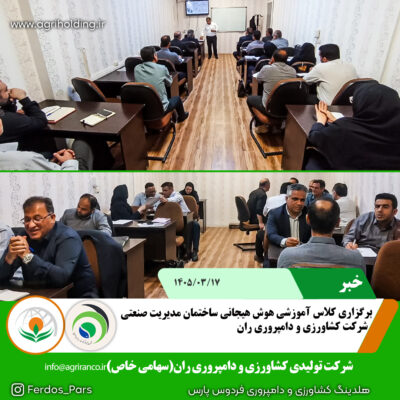 هوش هیجانی