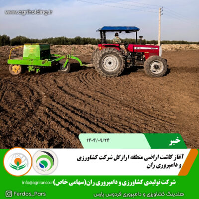 کاشت ارازگل