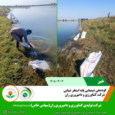 کوددهی ضیایی